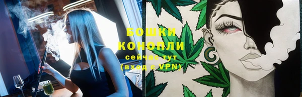 2c-b Богородск