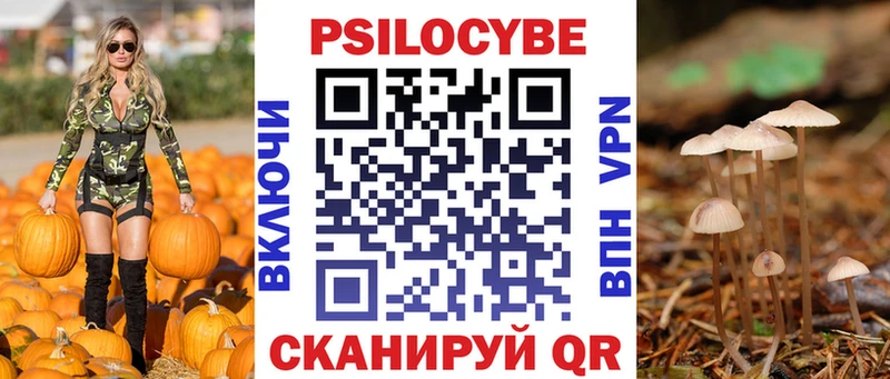 Галлюциногенные грибы Magic Shrooms  как найти закладки  Новоржев 